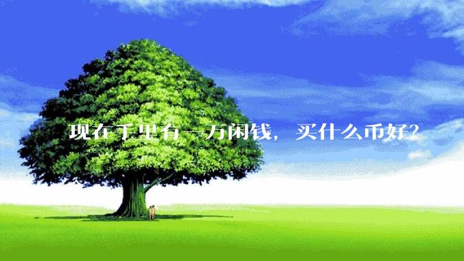 现在手里有一万闲钱，买什么币好？