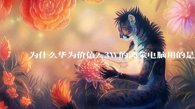 为什么华为价值2.3W的鸿蒙电脑用的是美国西数的SN740固态硬盘？