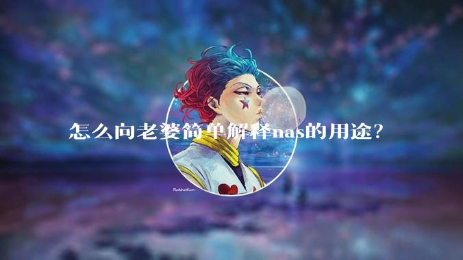 怎么向老婆简单解释nas的用途？