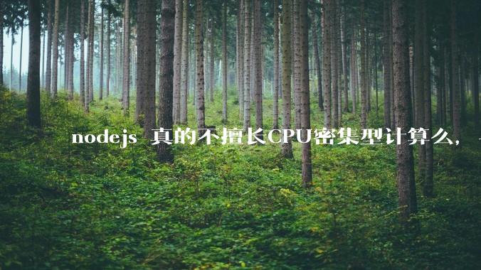 nodejs 真的不擅长CPU密集型计算么，与c++或者 rust 差别有多大？