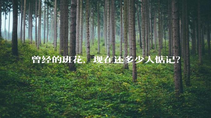 曾经的班花，现在还多少人惦记？