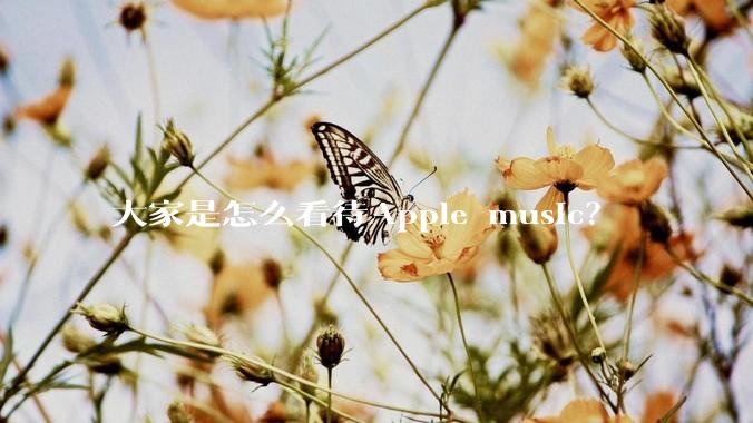 大家是怎么看待Apple music？