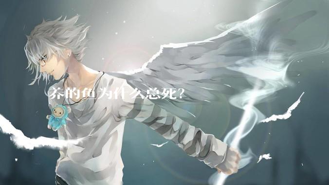养的鱼为什么总死？