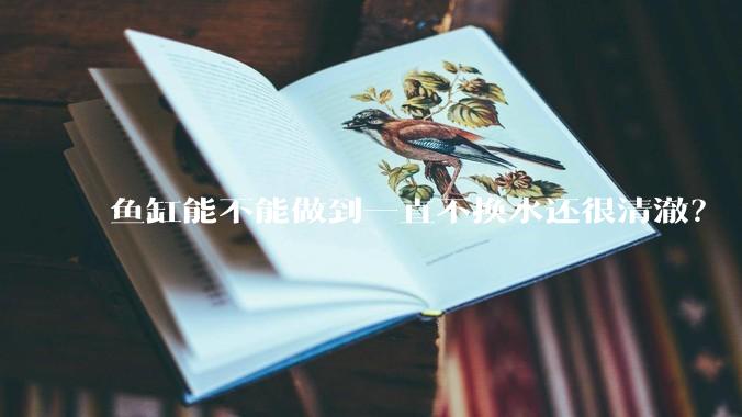 鱼缸能不能做到一直不换水还很清澈？