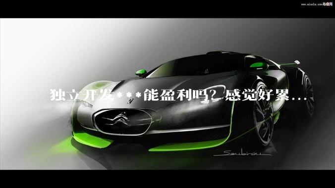 独立开发***能盈利吗？感觉好累...