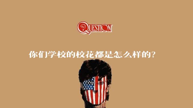 你们学校的校花都是怎么样的？