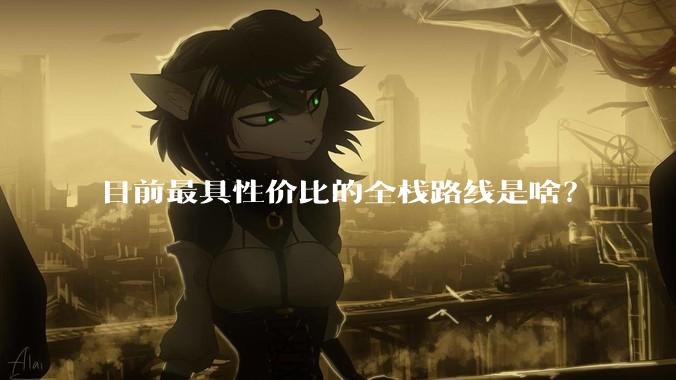 目前最具性价比的全栈路线是啥？