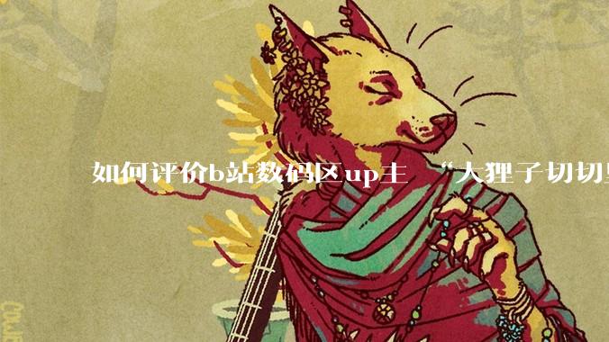 如何评价b站数码区up主 “大狸子切切里”?