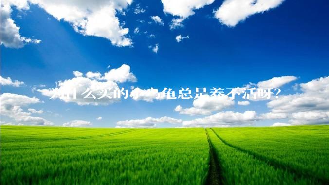 为什么买的小乌龟总是养不活呀？