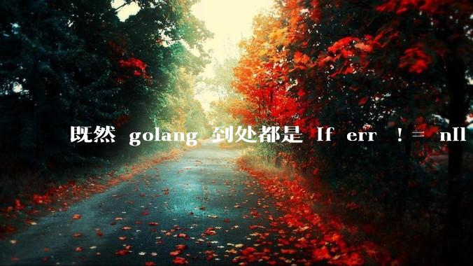 既然 golang 到处都是 if err != nil ，为啥不能从语法层面把这句话当做默认值？