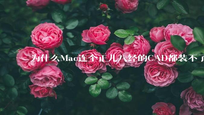 为什么Mac连个正儿八经的CAD都装不了还敢打着生产力的旗号？